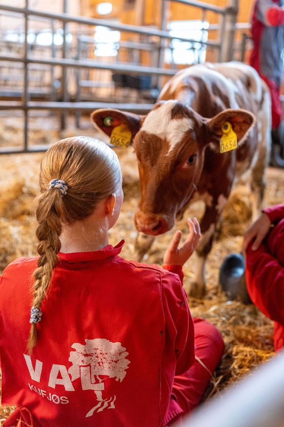 Illustrasjonsbilde for ledig stilling