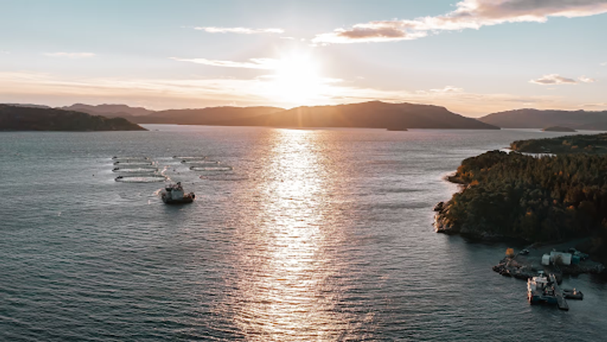 Randstad AS Randstad AS