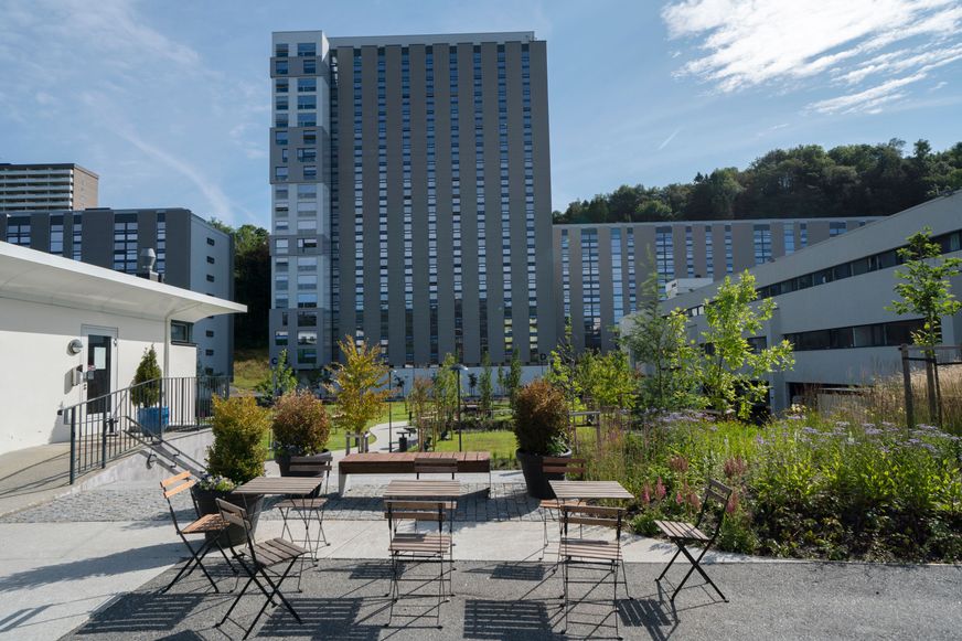 Studentsamskipnaden på Vestlandet