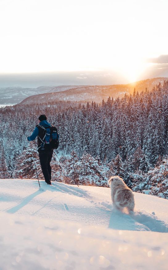 Senior Mechanical Engineer