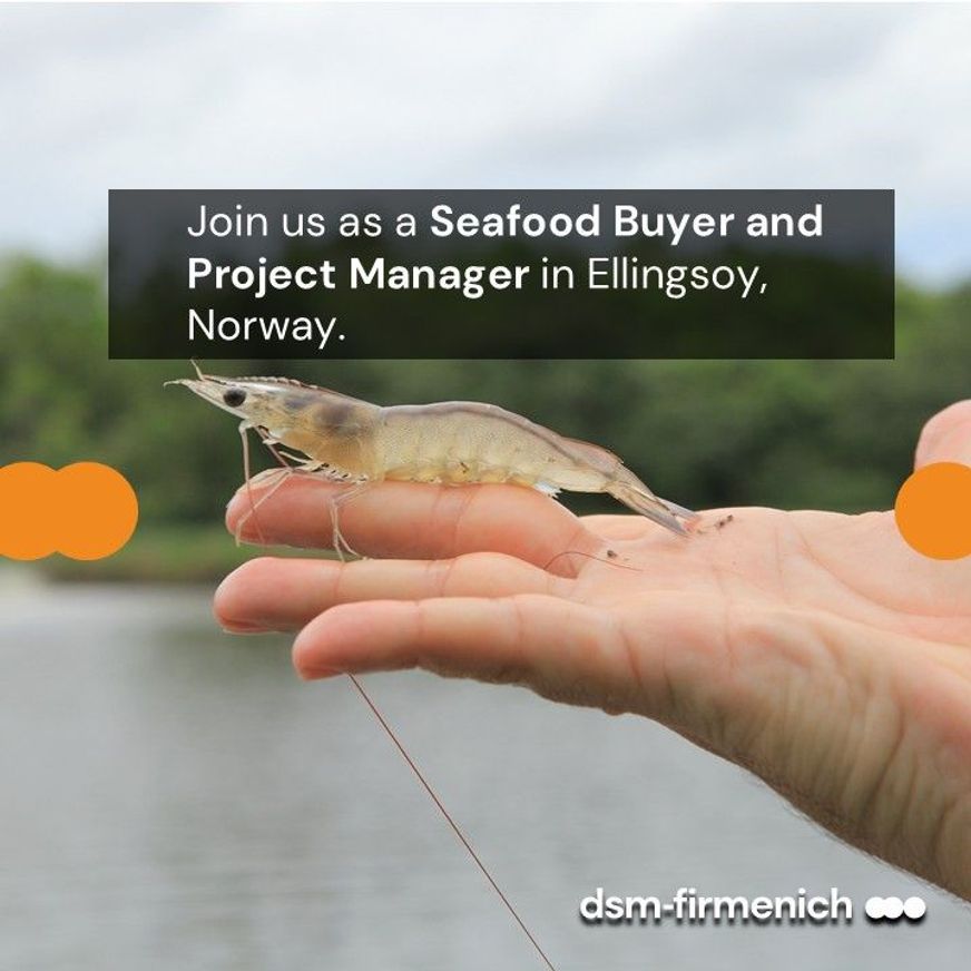 Seafood Buyer and Project Manager