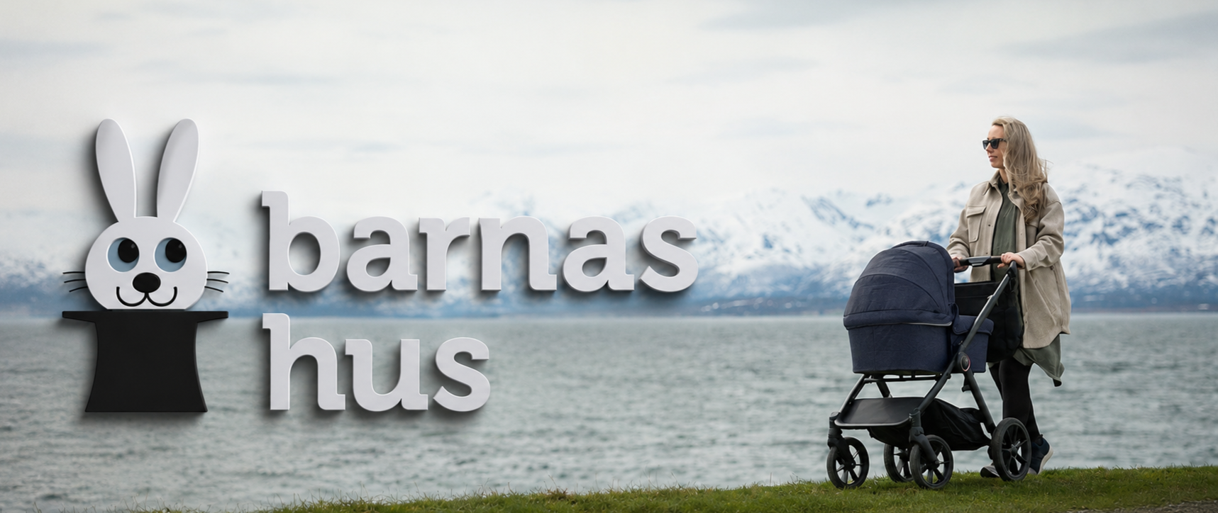 Barnas Hus søker Kategoridirektør