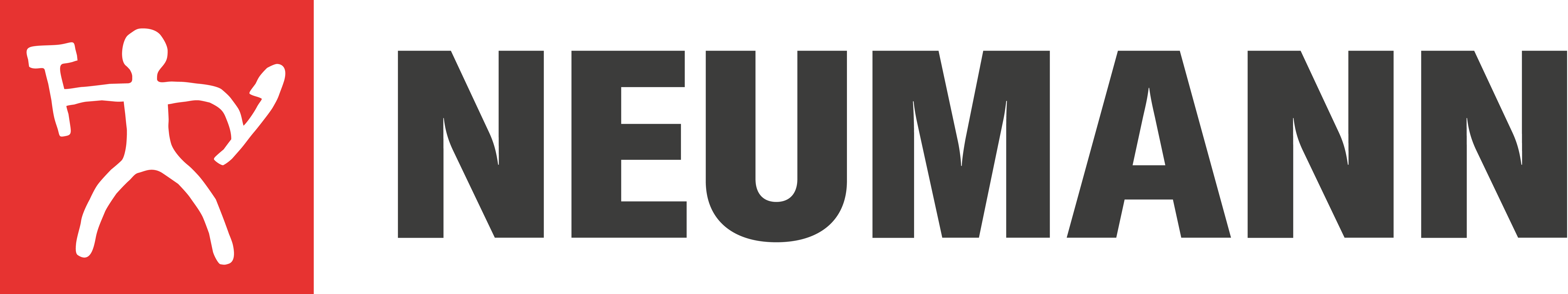 Ansvarlig for Masterdata og Kategorianalyse