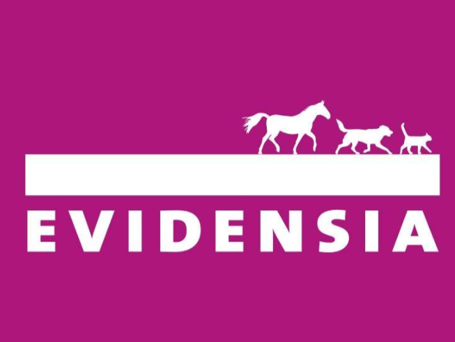 Finance Operations Lead: Nøkkelrolle i vårt norske finansmiljø