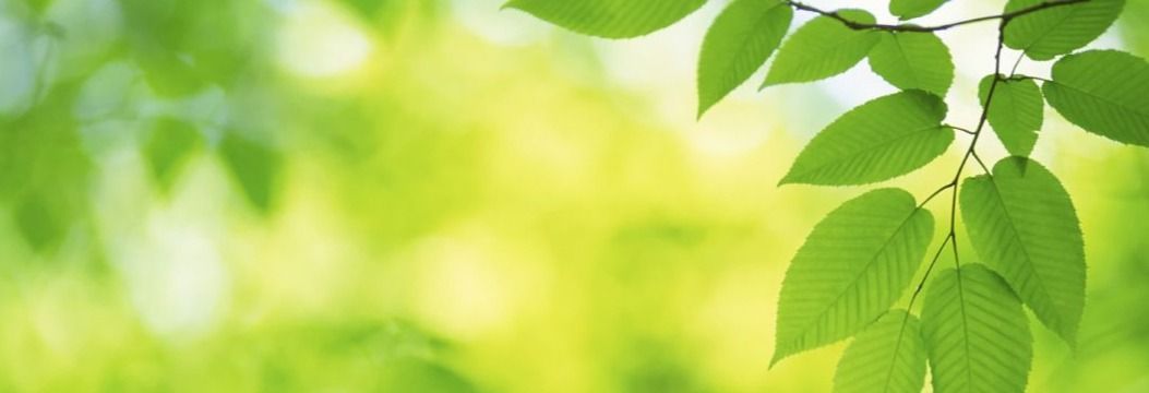 Key Account Manager med ansvar for kundeutvikling og nysalg