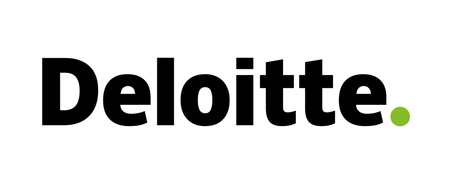 senior manager – resiliens og risikostyring