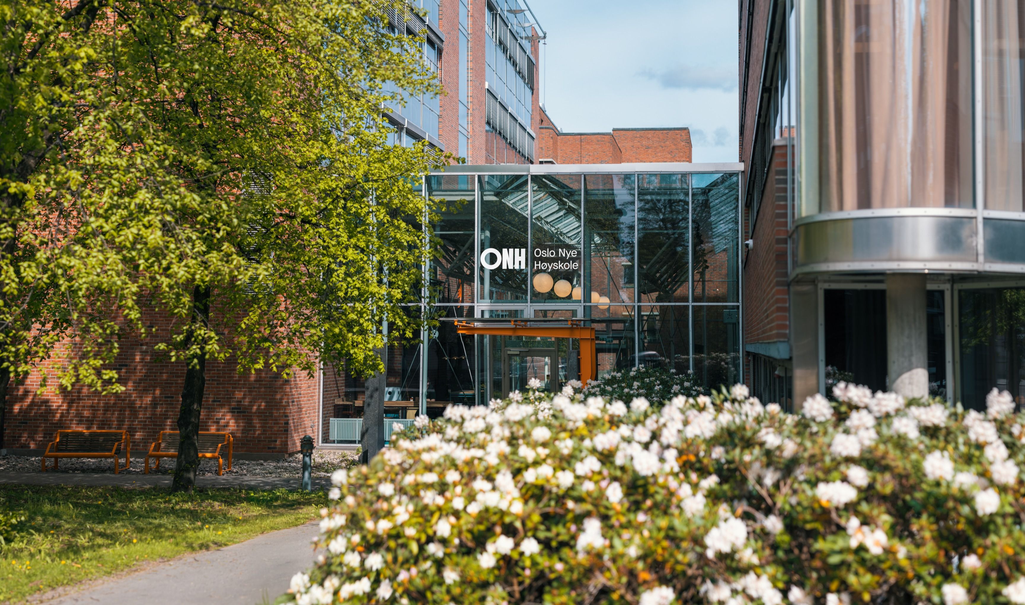 fagansvarlig i programmering