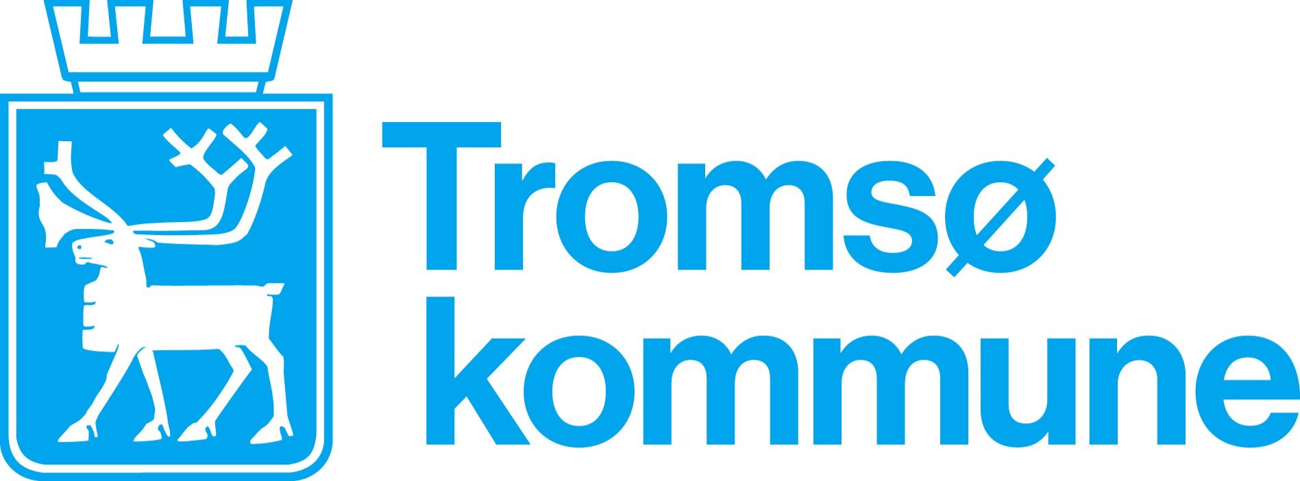 kommunedirektør