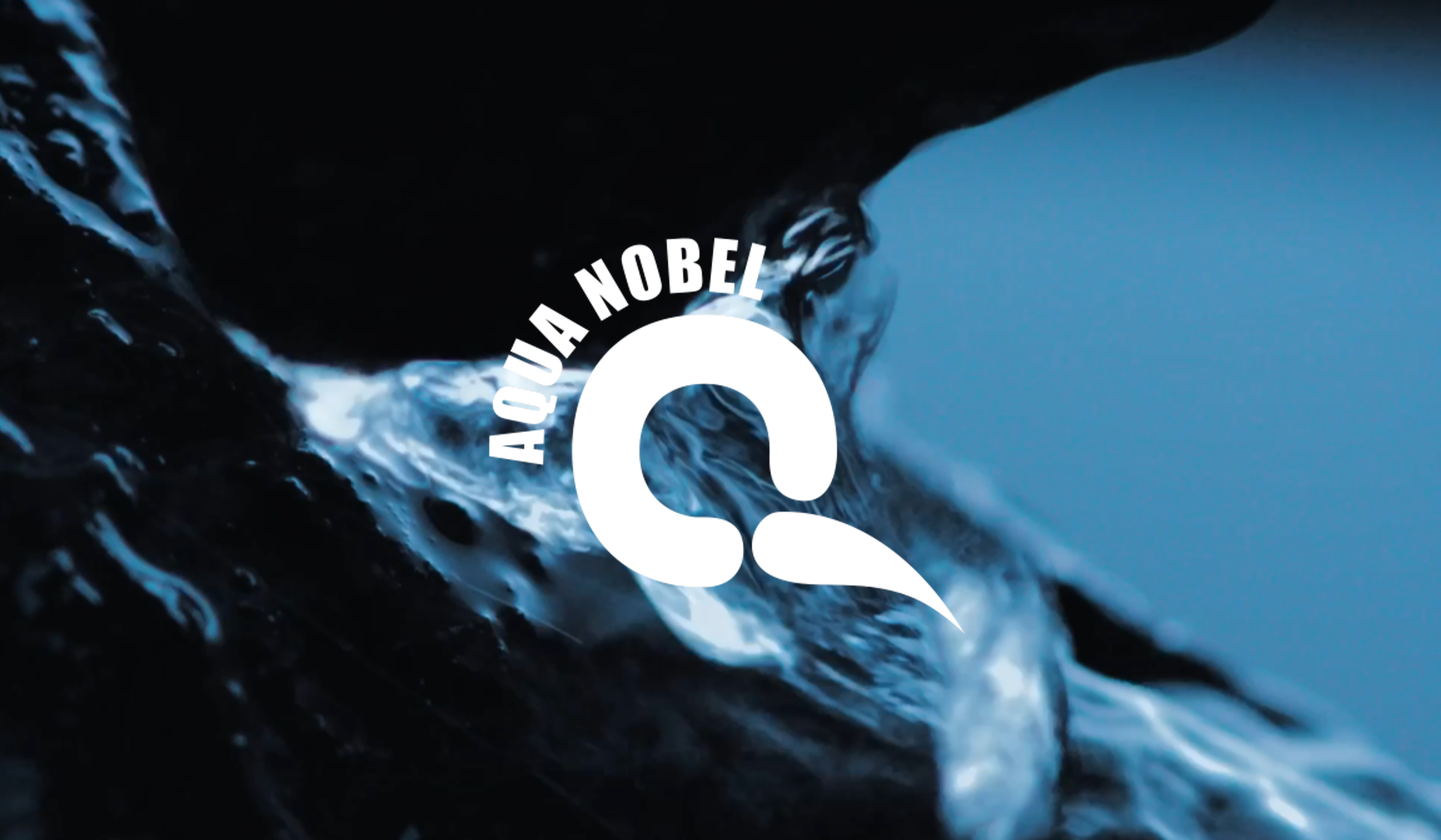 Försäljningschef till Aqua Nobel