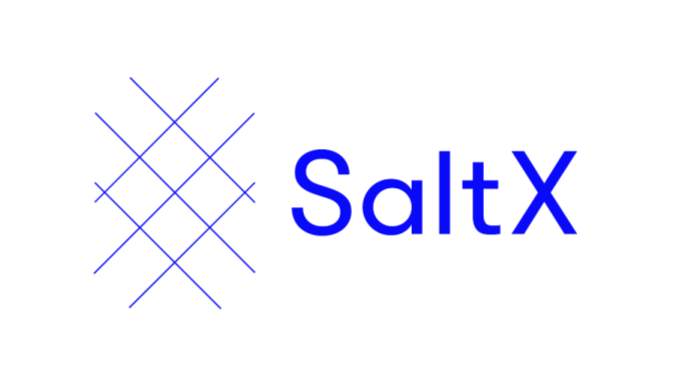 Senior Project Lead, Execution