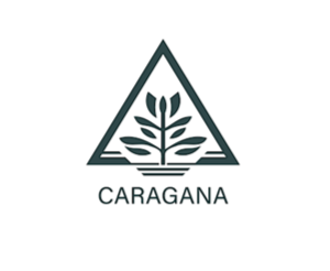 Projektchef – Caragana Bygg AB