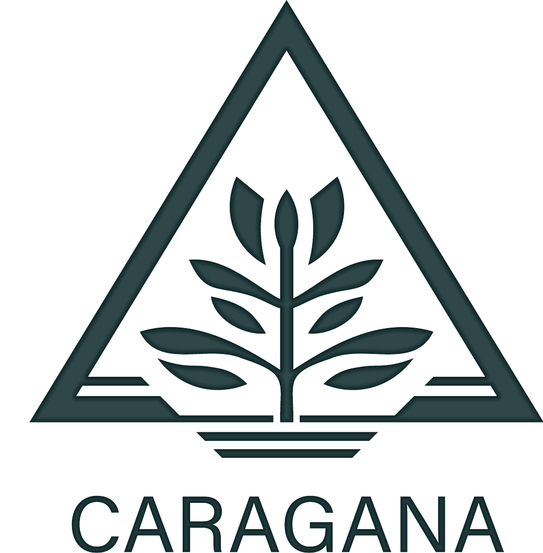 Ekonomiansvarig – Caragana Bygg AB