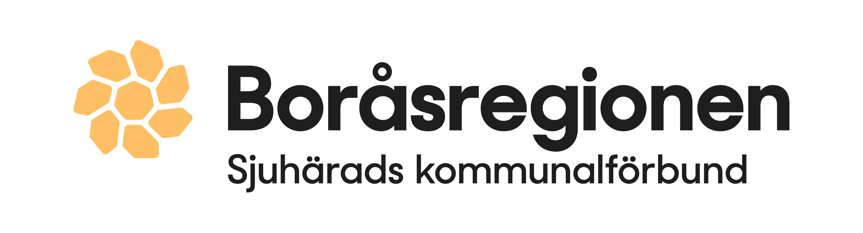 Förbundsdirektör till Boråsregionen Sjuhärads kommunalförbund